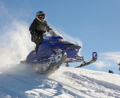 Thing To Do Snowmobile and Dog Sled